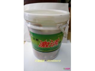 大树激活